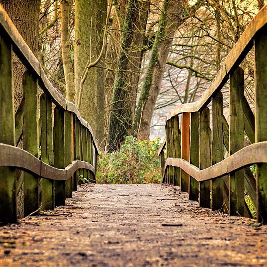 北京繁郎文化传媒有限公司木业有限公司