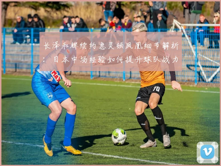 长泽和辉续约惠灵顿凤凰细节解析:日本中场经验如何提升球队战力